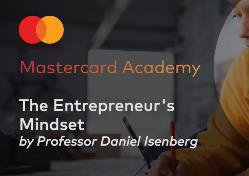 THE ENTREPRENEUR'S MINDSET